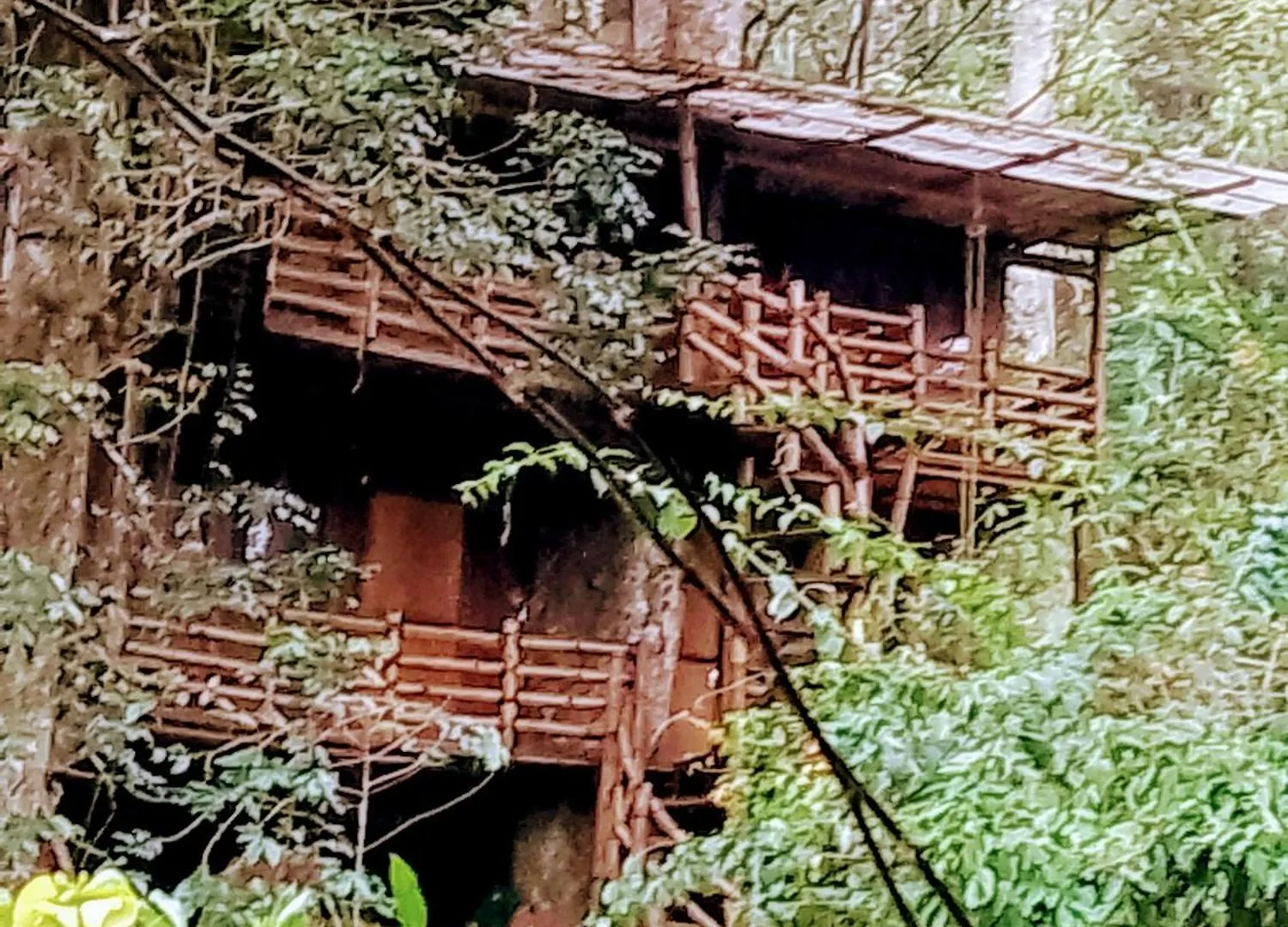 Farm stay Whitetea Estatehouse Villa Munnar India