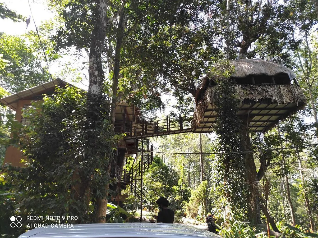 Whitetea Estatehouse Villa Munnar Farm stay